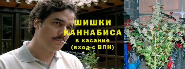 стаф Пересвет