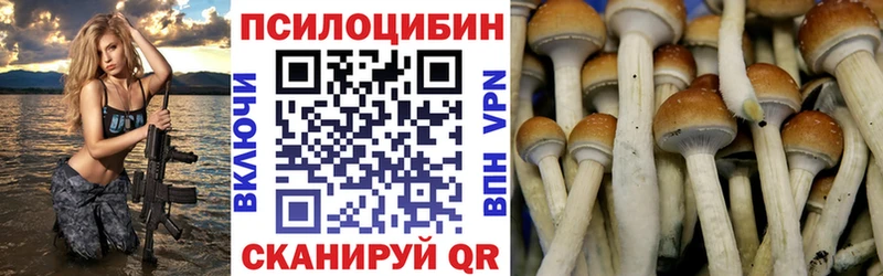 блэк спрут ONION наркота Кубинка Галлюциногенные грибы ЛСД